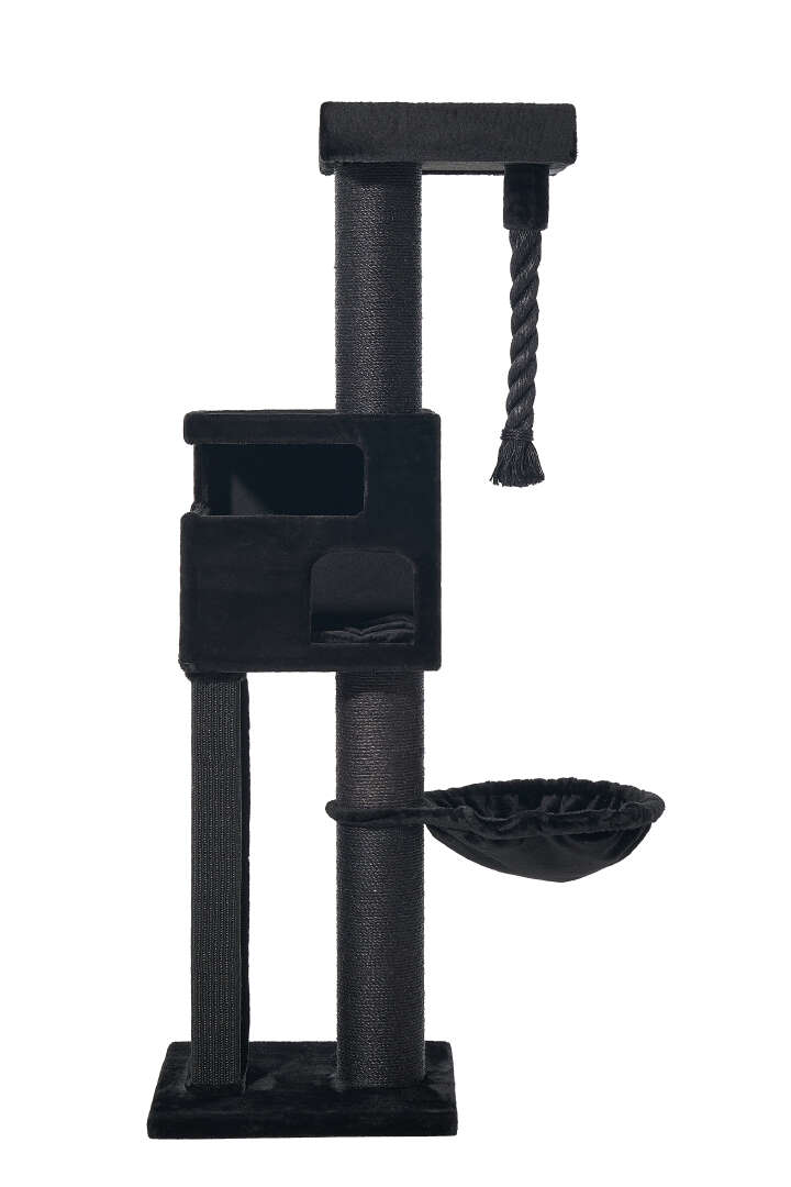 Nobby Kratzbaum Yoan